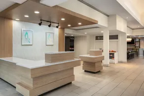 Hilton Garden Inn Tampa North Busch Gardens - Réception
