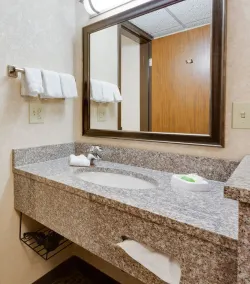 Wingate by Wyndham St Louis-Fenton Route 66 - Salle de bain