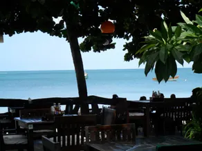 Dreamland Resort - Restaurant
