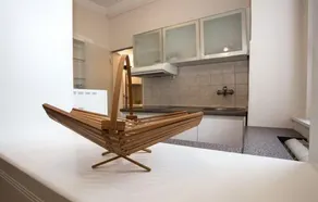 Apartment Centrala - Private kitchen