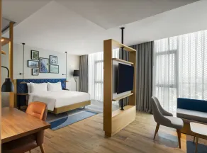 Hilton Garden Inn Balikesir - Habitación