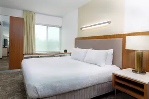 SpringHill Suites Tallahassee Central - Chambre