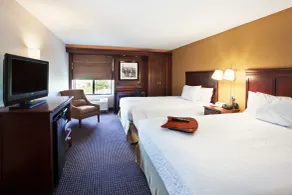 Hampton Inn Sioux Falls - Chambre