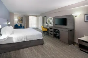 Hampton Inn & Suites Kansas City-Country Club Plaza - Chambre