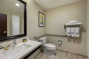 Best Western Plus Nashville Airport Hotel - BNA - Salle de bain
