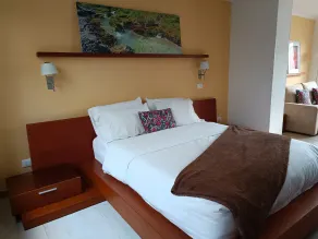 Hotel Boutique Confort Suites - Room