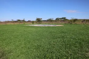 Mtito Safari Camp - Pool