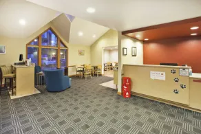 TownePlace Suites Detroit Sterling Heights - Réception