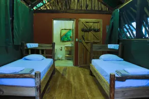 La Tigra Rainforest Lodge - Værelse