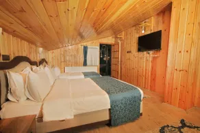 Abant Yayla Dağevi - Room