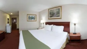Holiday Inn Express & Suites Murphy by IHG - Værelse