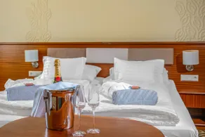 Relax Resort Hotel Kreischberg - Rum