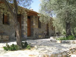 Gera's Olive Grove - Elaionas Lesvou - Room
