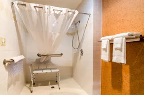 Quality Inn Eureka Springs South - Salle de bain