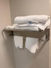 Days Inn by Wyndham Ruther Glen Kings Dominion Area - Salle de bain