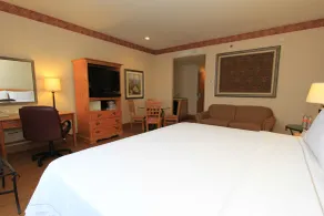 Holiday Inn Express Silao-Aeropuerto Bajio by IHG - Chambre