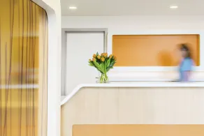 ibis budget Brugge Centrum Station - Reception