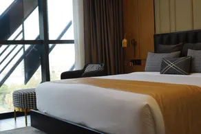 The Zabeer Dhaka - Room