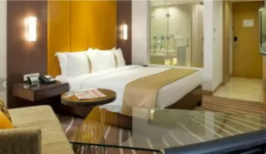 Holiday Inn Mumbai International Airport by IHG - Room