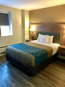 EconoLodge Downtown Toronto - Room