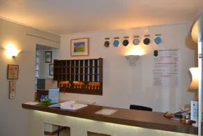 Hôtel du Lion Vert - Reception