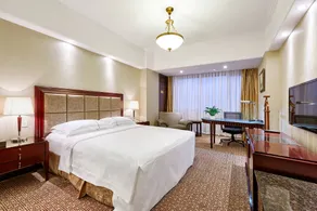 Grand Regency Hotel - Room