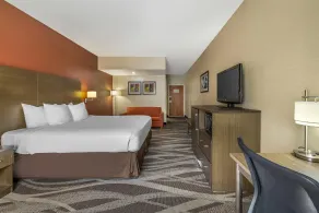Best Western Plus University Inn, Olean NY - Room