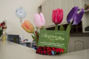 Hotel Aegina - Resepsjon