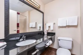 Red Roof Inn & Suites Danville, IL - Salle de bain