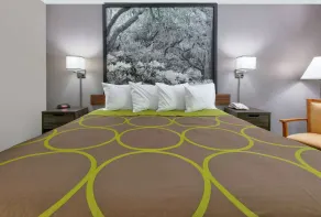 Super 8 by Wyndham Diberville Biloxi Area - Chambre