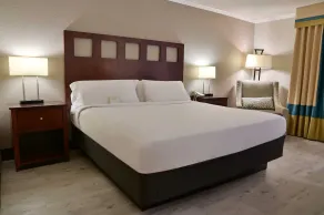 Wyndham Garden Summerville - Chambre