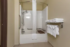 Comfort Suites Marquette - Salle de bain