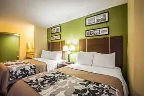 Sleep Inn Asheville - Biltmore West - Chambre