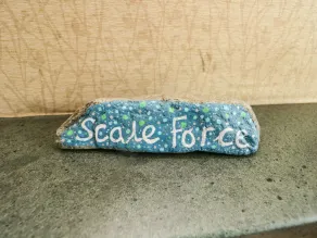 Scale Force - Room