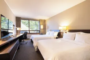 Holiday Inn Express - Temuco by IHG - Zimmer