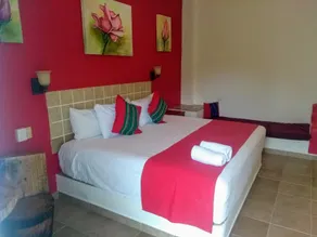 Hotel Arenas del Pacifico - Room