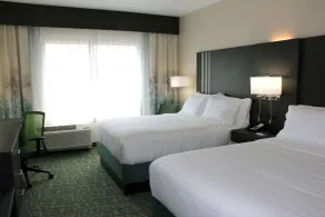 Holiday Inn Express & Suites - Hendersonville SE - Flat Rock by IHG - Chambre