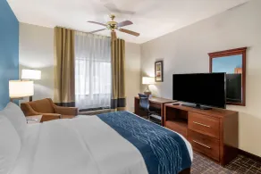 Comfort Inn & Suites Lees Summit - Kansas City - Room