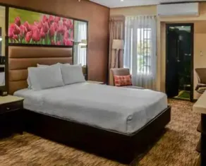 Hilton Garden Inn Guatemala City - Room