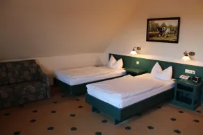 Müritz Landhotel Grüner Baum - Rom