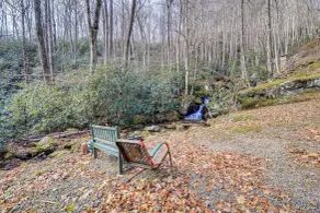 Stay By the Blue Ridge Parkway! Cozy Mtn Condo - Interior