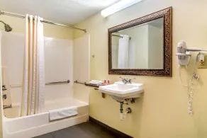Econo Lodge Inn & Suites - Salle de bain