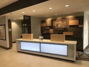 Holiday Inn Express & Suites Greenville SE - Simpsonville by IHG - Reception