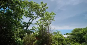 Cocolia Hotel - only adults - Vista do quarto