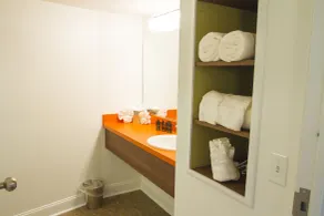 Mother Earth Motor Lodge - Salle de bain