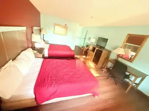 Mayfair Inn - Room