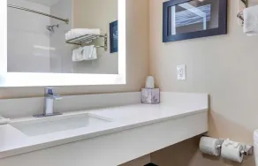 Extended Stay America Suites - Arlington - Bathroom