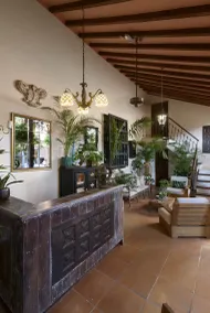 Hotel Boutique Al Alma - Reception