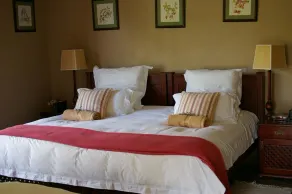 Plumbago Guest House - Room