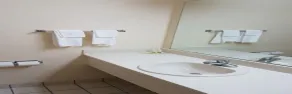 Rodeway Inn Wesley Chapel - Salle de bain